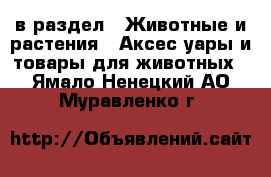  в раздел : Животные и растения » Аксесcуары и товары для животных . Ямало-Ненецкий АО,Муравленко г.